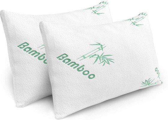 Bamboo Queen Pillow with Hypoallergenic Covers