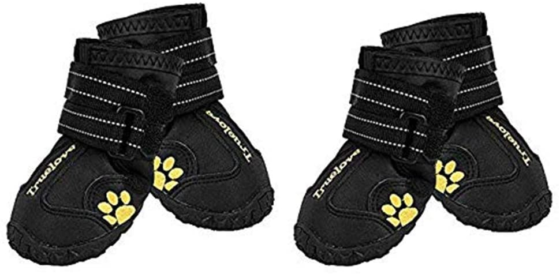 EXPAWLORER Waterproof Dog Boots