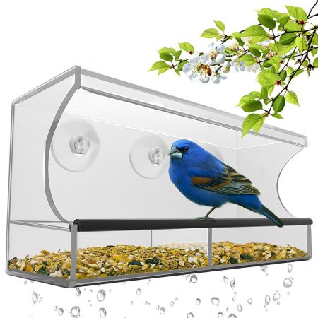 Nature's Hangout Window Bird Feeder with Removable Tray